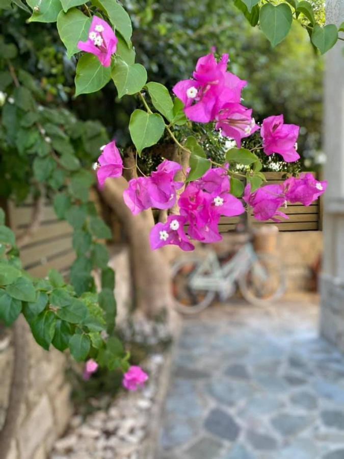 Romanos Apartments Gaios Ngoại thất bức ảnh